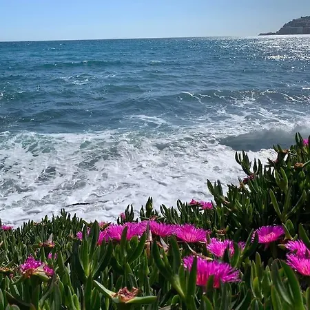 Casa vacanze Azaleas *