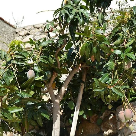 Azaleas Casa vacanze *