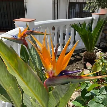 Casa vacanze Azaleas Velilla-Taramay